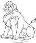 magicolor.free.fr_roi lion (37) * 679 x 810 * (14KB)